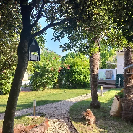 Bord De ,proche Royan Hotel *
